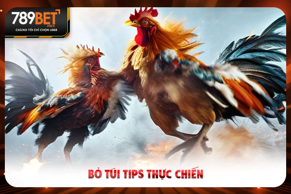Bỏ túi tips thực chiến