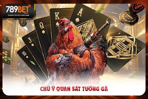 Chú ý quan sát tướng gà
