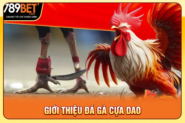 Giới thiệu đá gà cựa dao