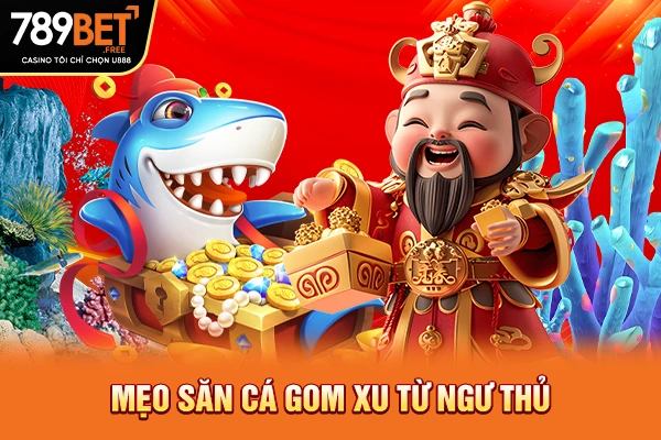 Mẹo săn cá gom xu từ ngư thủ Mẹo săn cá gom xu từ ngư thủ