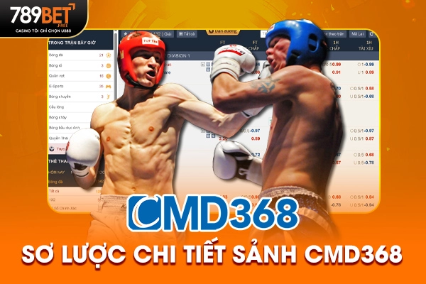 Sơ lược chi tiết sảnh CMD368